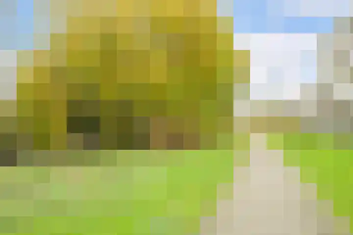 Ir. van der Sluijsplantsoen 81 Den Haag thumbnail 36