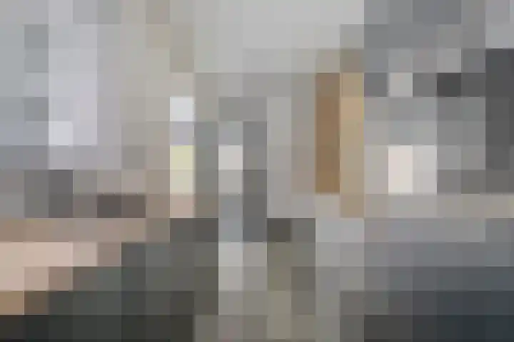 Ir. Wortmanstraat 10 Harderwijk thumbnail 11