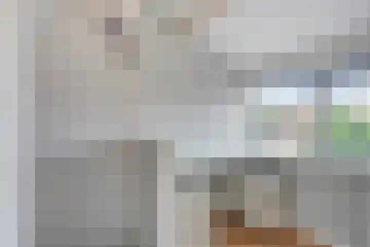 Ir. Wortmanstraat 10 Harderwijk thumbnail 20
