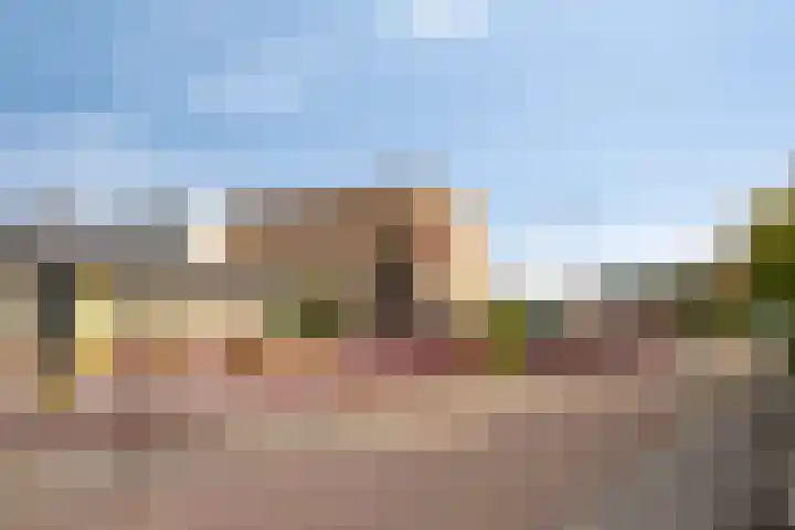 Ir. Wortmanstraat 10 Harderwijk thumbnail 26