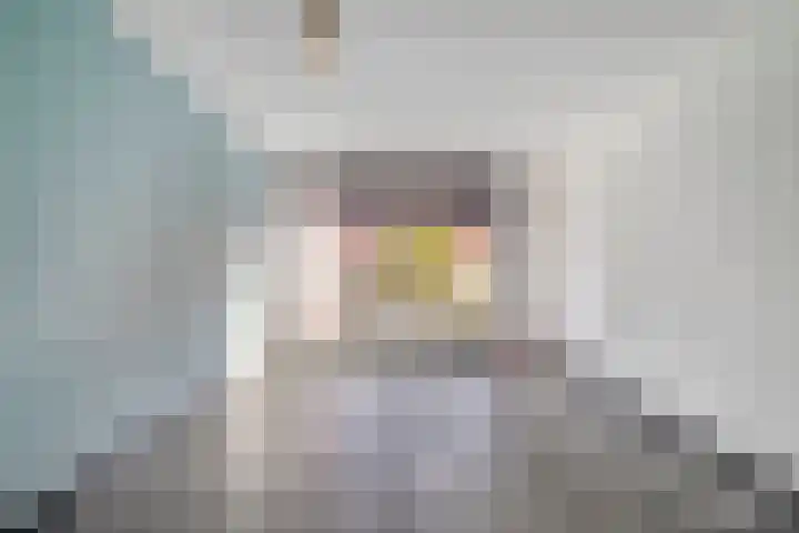 Ir. Wortmanstraat 10 Harderwijk thumbnail 7