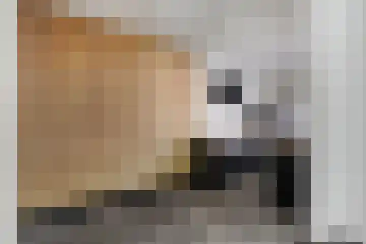 Ir. Wortmanstraat 10 Harderwijk thumbnail 9