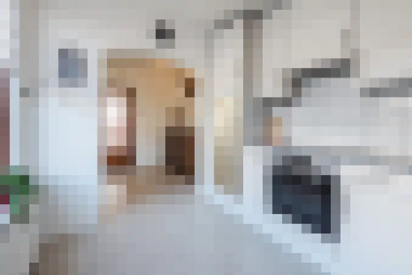 Ir. Wortmanstraat 2 Harderwijk thumbnail 13