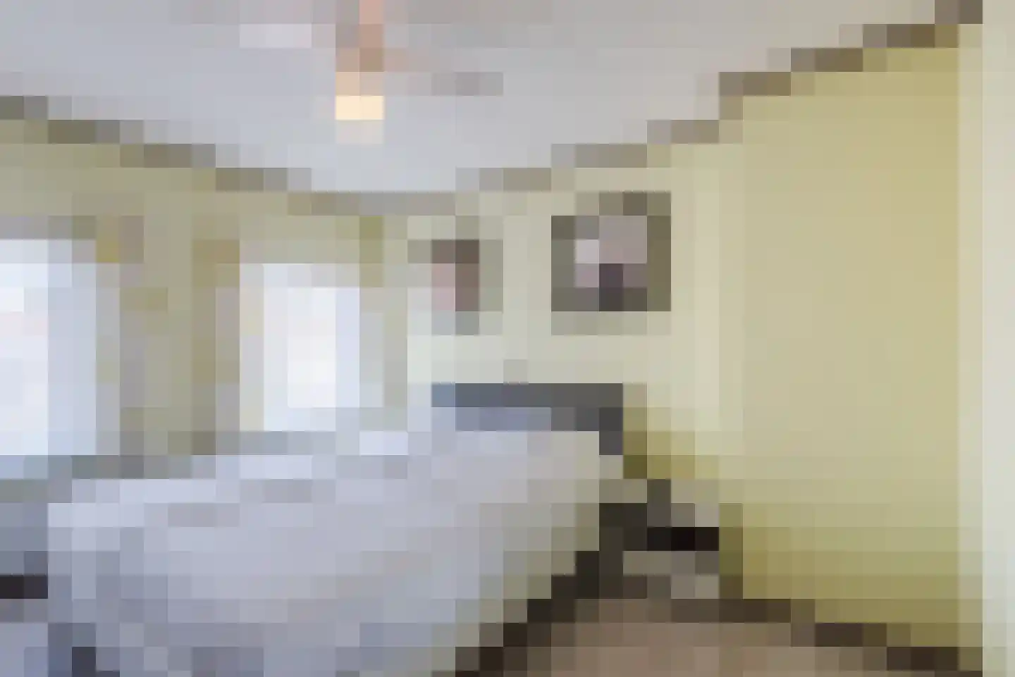 Ir. Wortmanstraat 2 Harderwijk thumbnail 19
