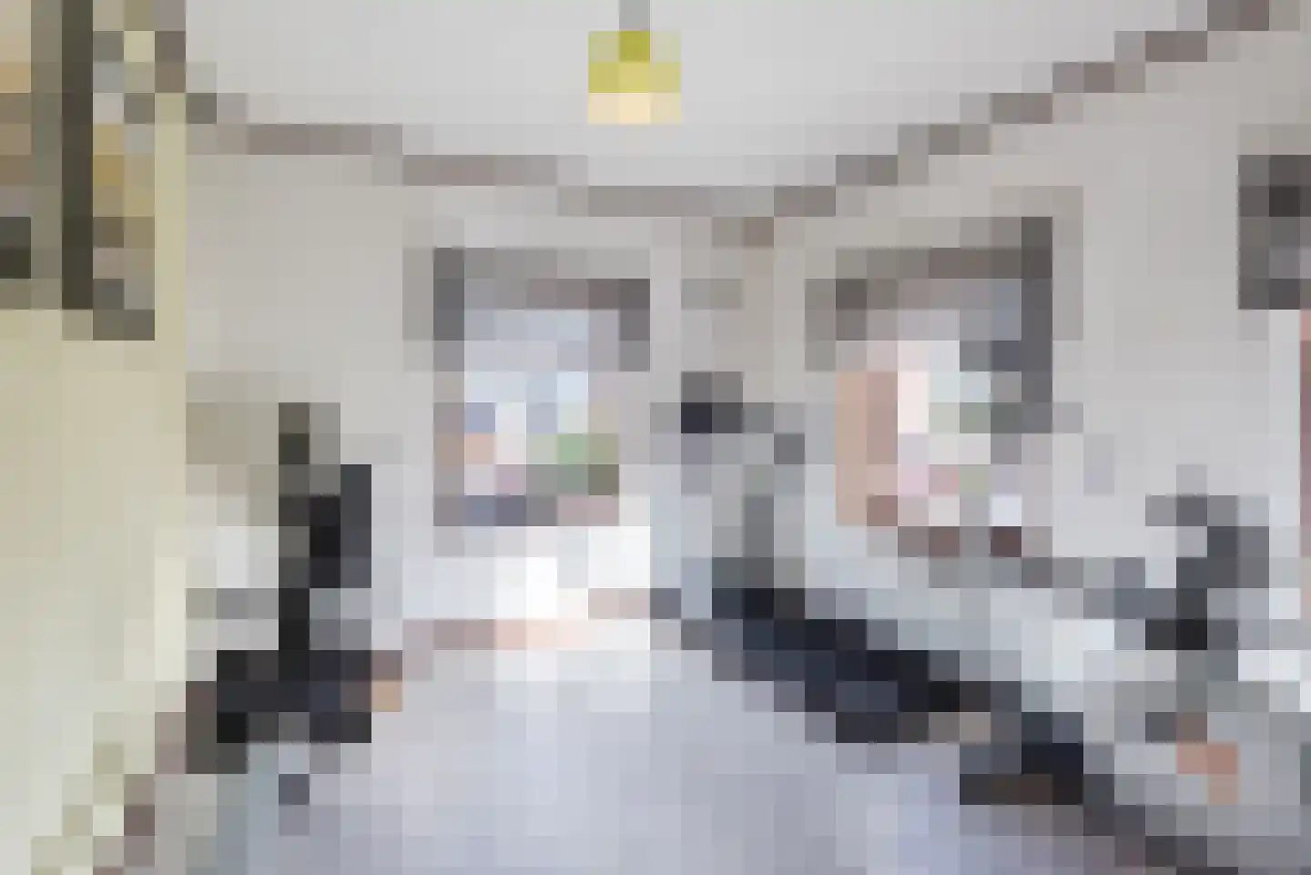 Ir. Wortmanstraat 2 Harderwijk thumbnail 22