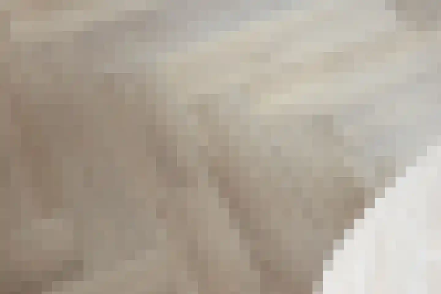 Ir. Wortmanstraat 20 Harderwijk thumbnail 24