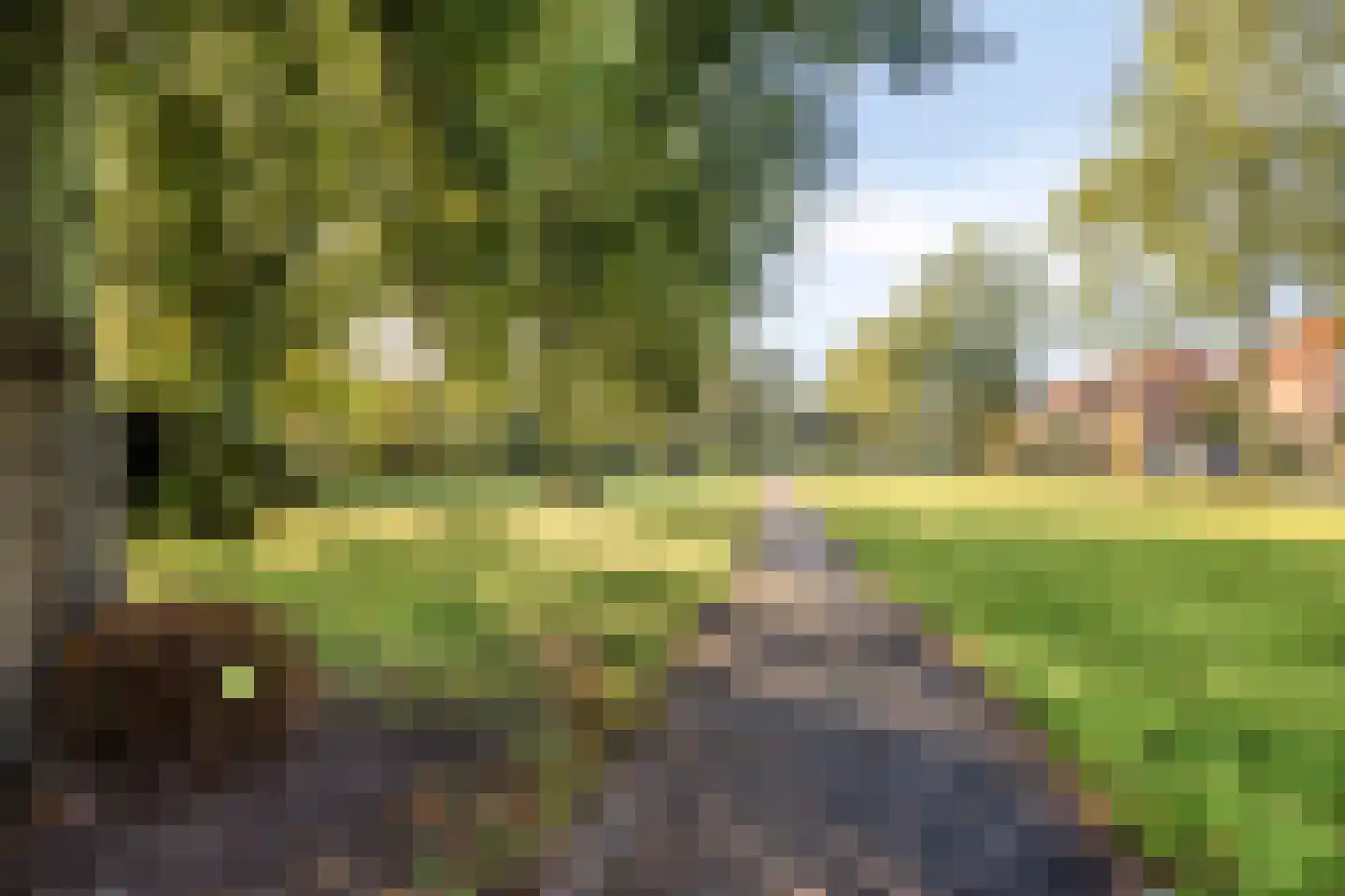 Ir. Wortmanstraat 20 Harderwijk thumbnail 48