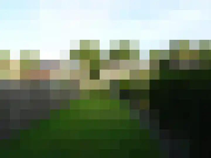 Ir. Wortmanstraat 23 Middenmeer thumbnail 18
