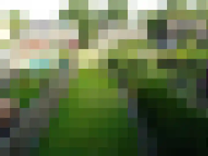Ir. Wortmanstraat 23 Middenmeer thumbnail 5