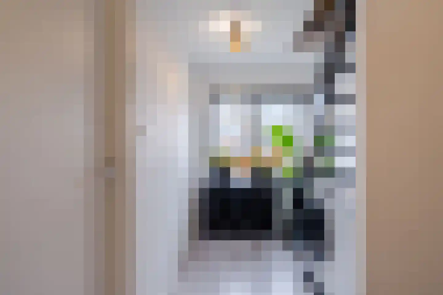 Ir. Wortmanstraat 27 Middenmeer thumbnail 33