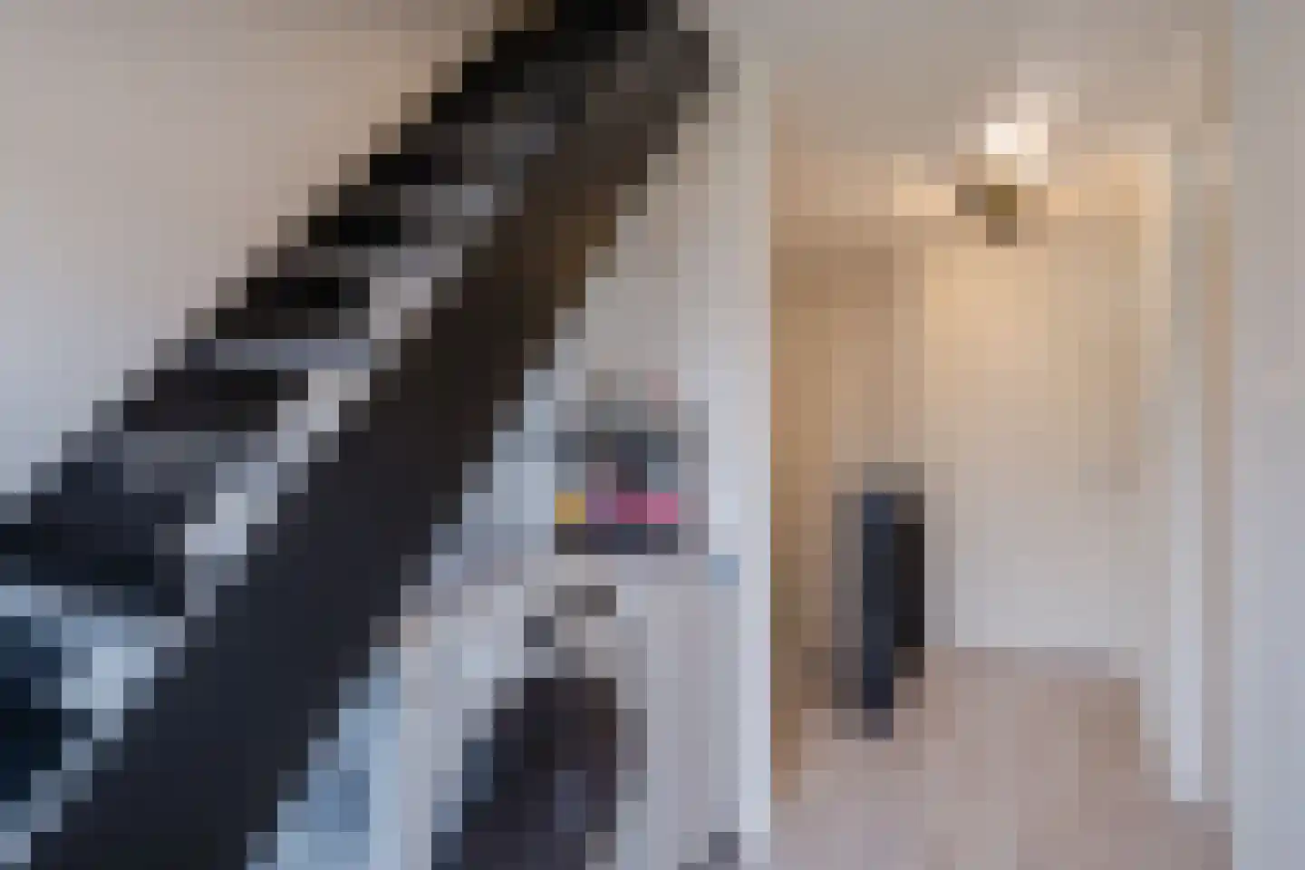 Ir. Wortmanstraat 27 Middenmeer thumbnail 35