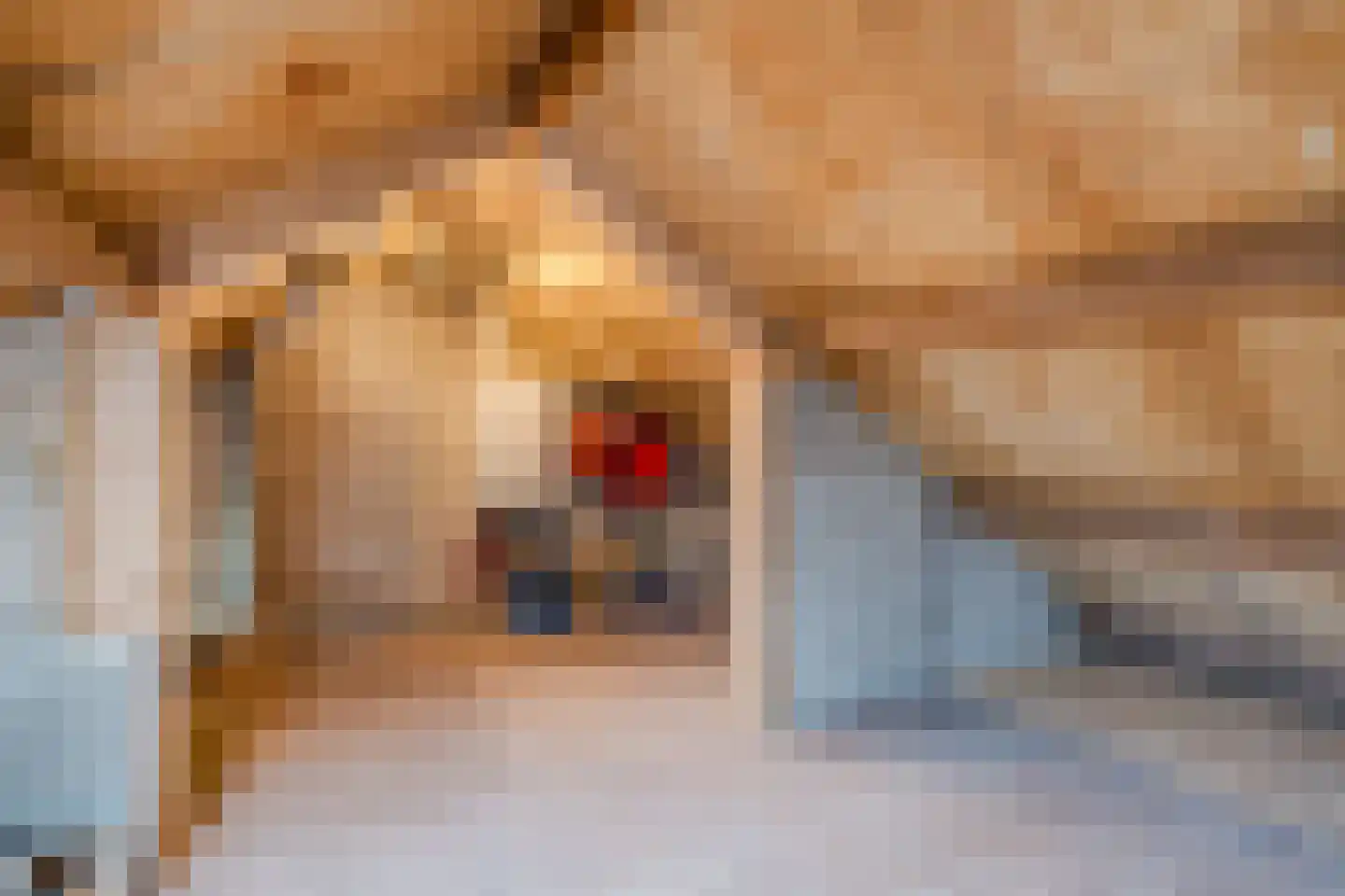 Ir. Wortmanstraat 27 Middenmeer thumbnail 38