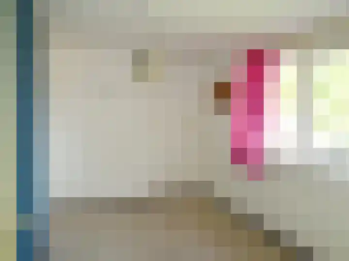 Ir. Wortmanstraat 36 Middenmeer thumbnail 15