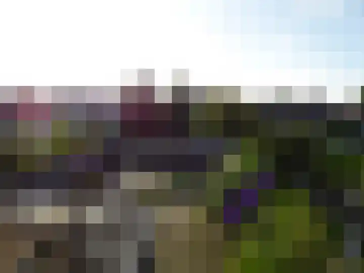 Ir. Wortmanstraat 36 Middenmeer thumbnail 5