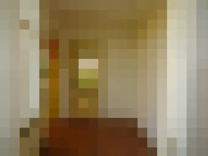 Ir. Wortmanstraat 36 Middenmeer thumbnail 8
