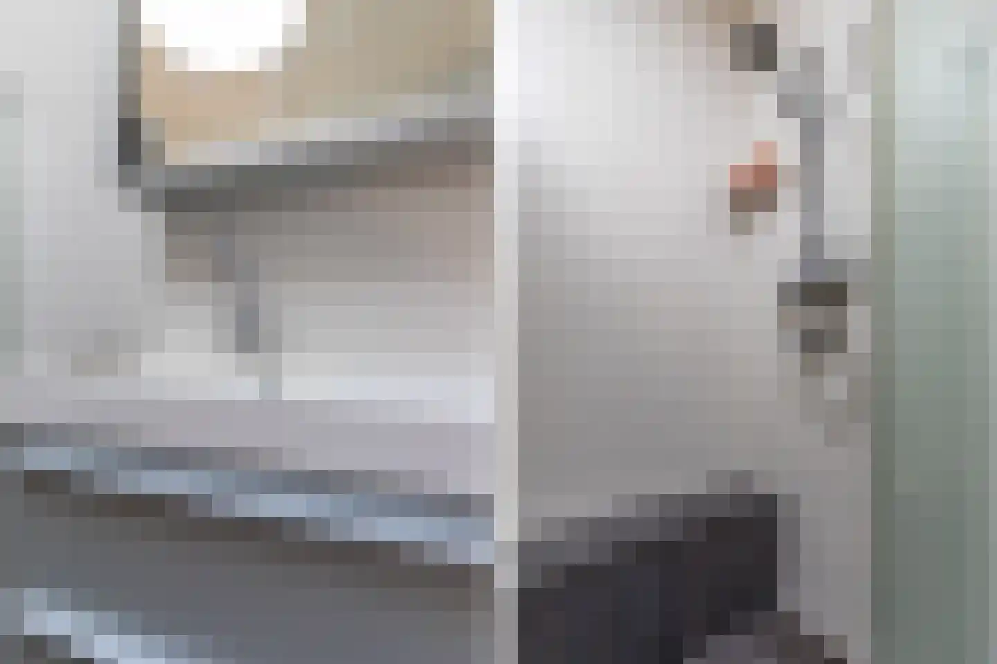 Iraklia 1 Hoofddorp thumbnail 33