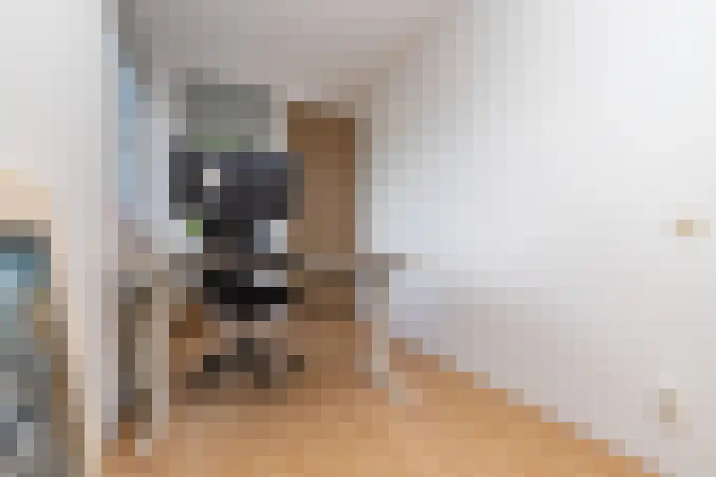 Iraklia 1 Hoofddorp thumbnail 39