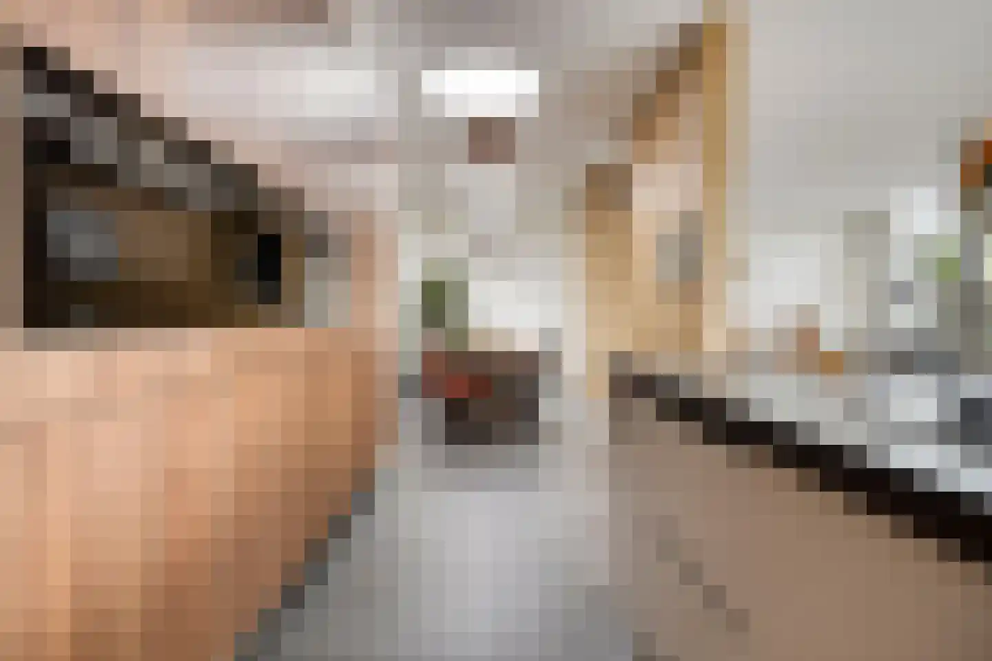 Iraklia 2 Hoofddorp thumbnail 10