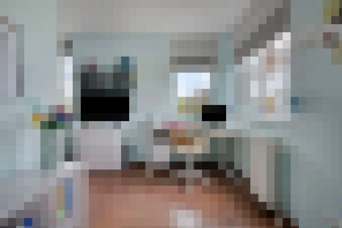 Iraklia 2 Hoofddorp thumbnail 21