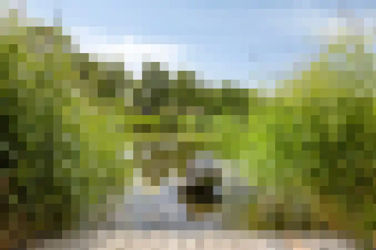 Iraklia 2 Hoofddorp thumbnail 39