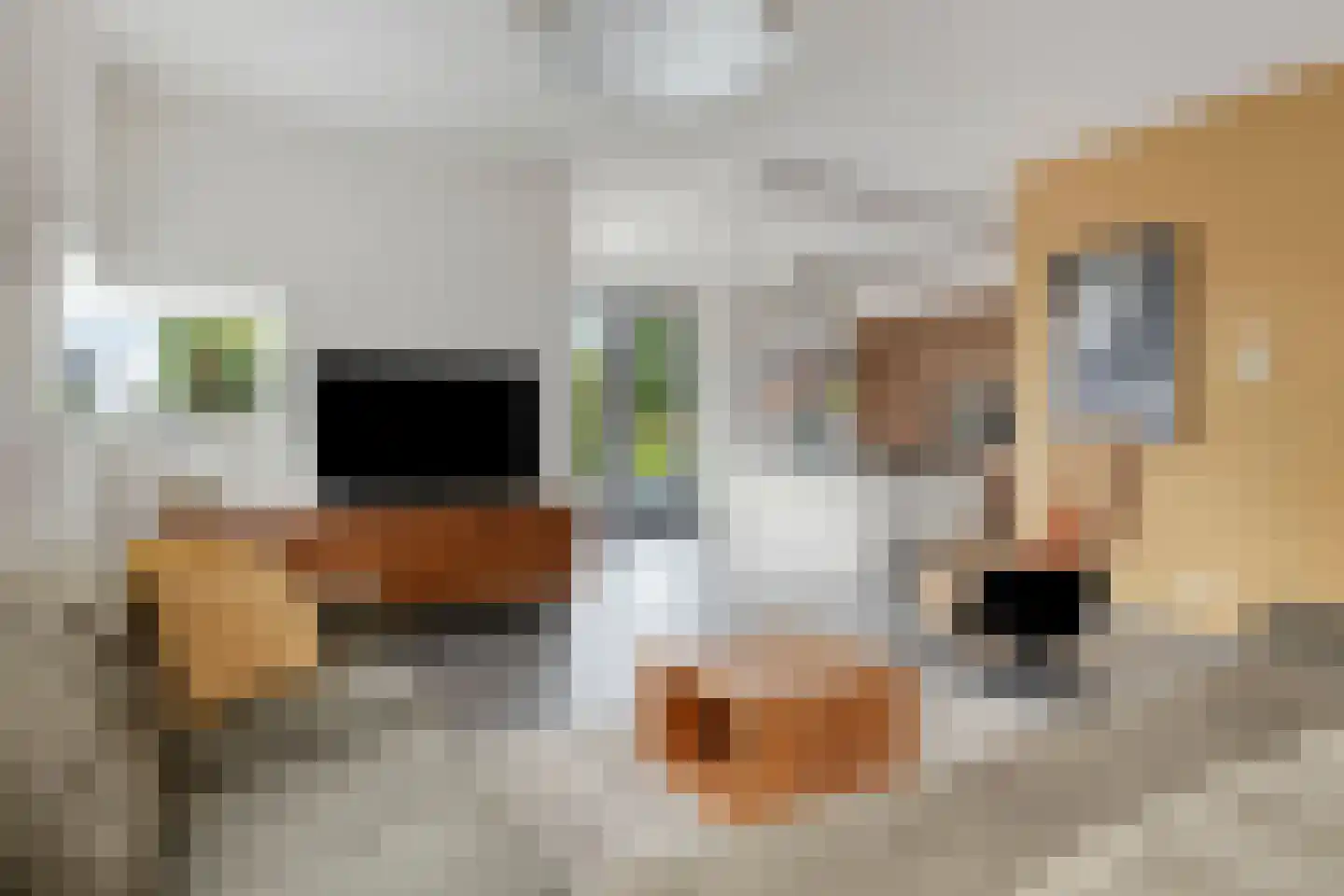 Iraklia 2 Hoofddorp thumbnail 4