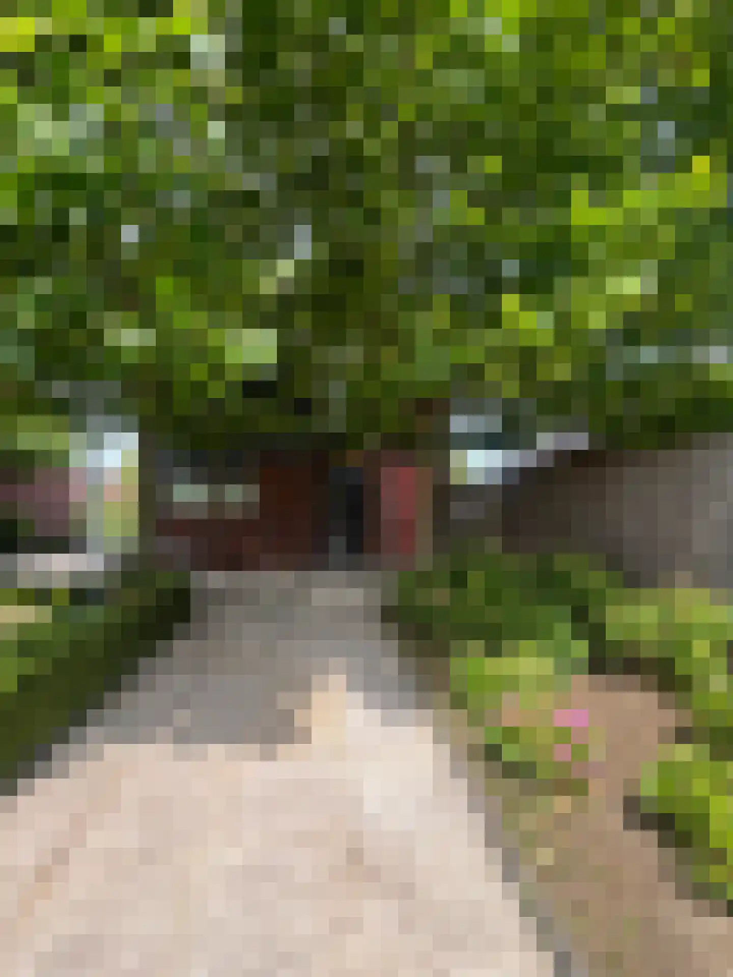 Iraklia 21 Hoofddorp thumbnail 12
