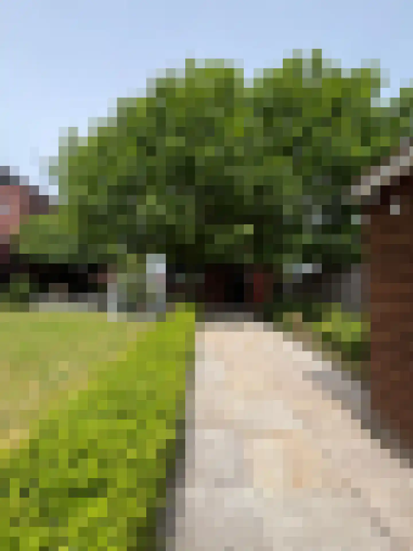 Iraklia 21 Hoofddorp thumbnail 20