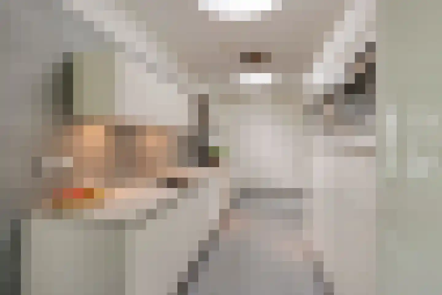 Iraklia 22 Hoofddorp thumbnail 15