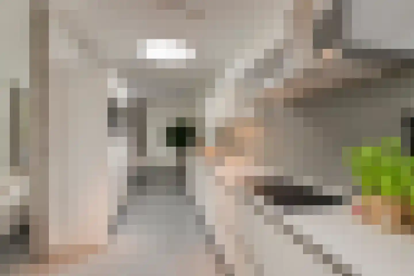 Iraklia 22 Hoofddorp thumbnail 16