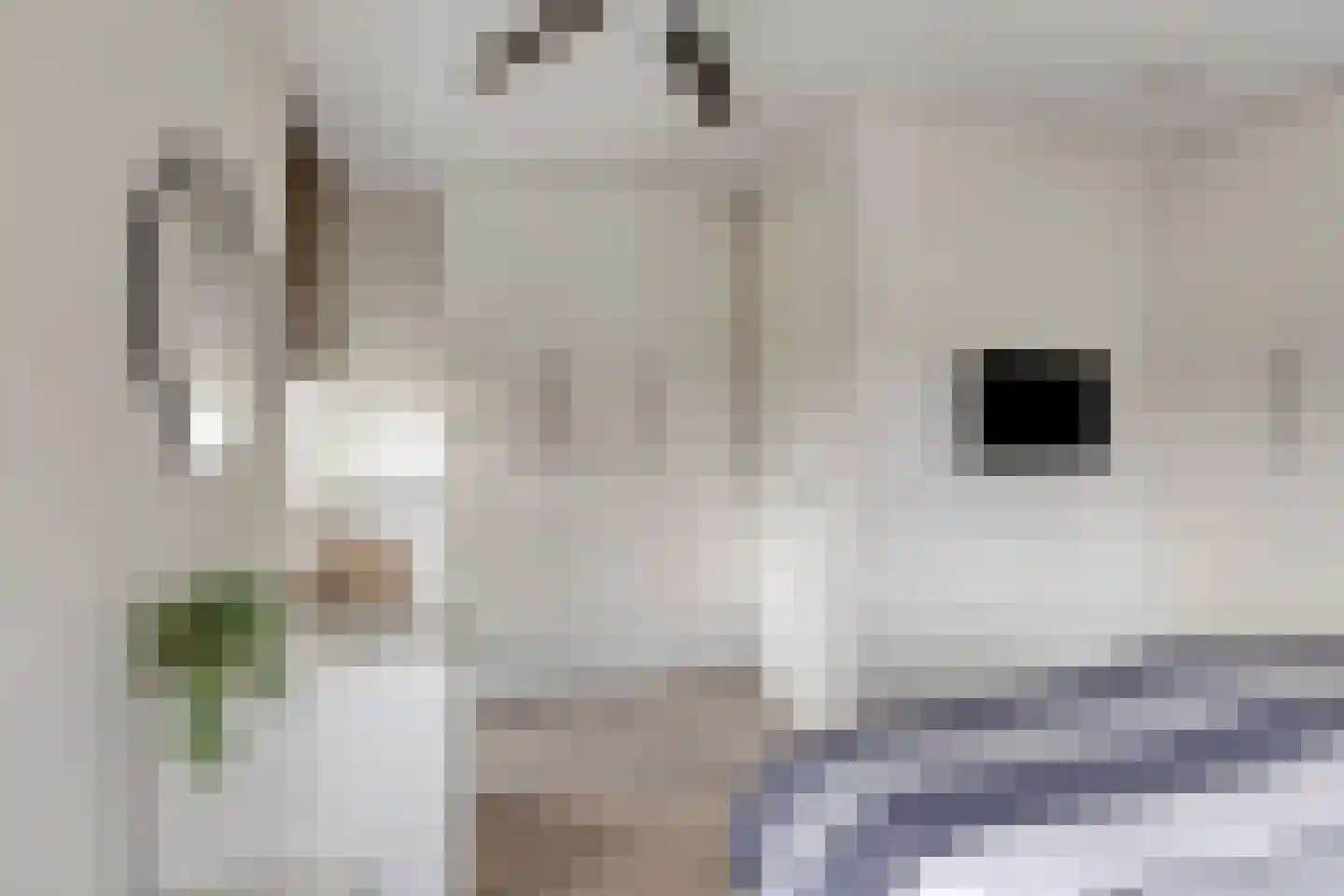 Iraklia 22 Hoofddorp thumbnail 22