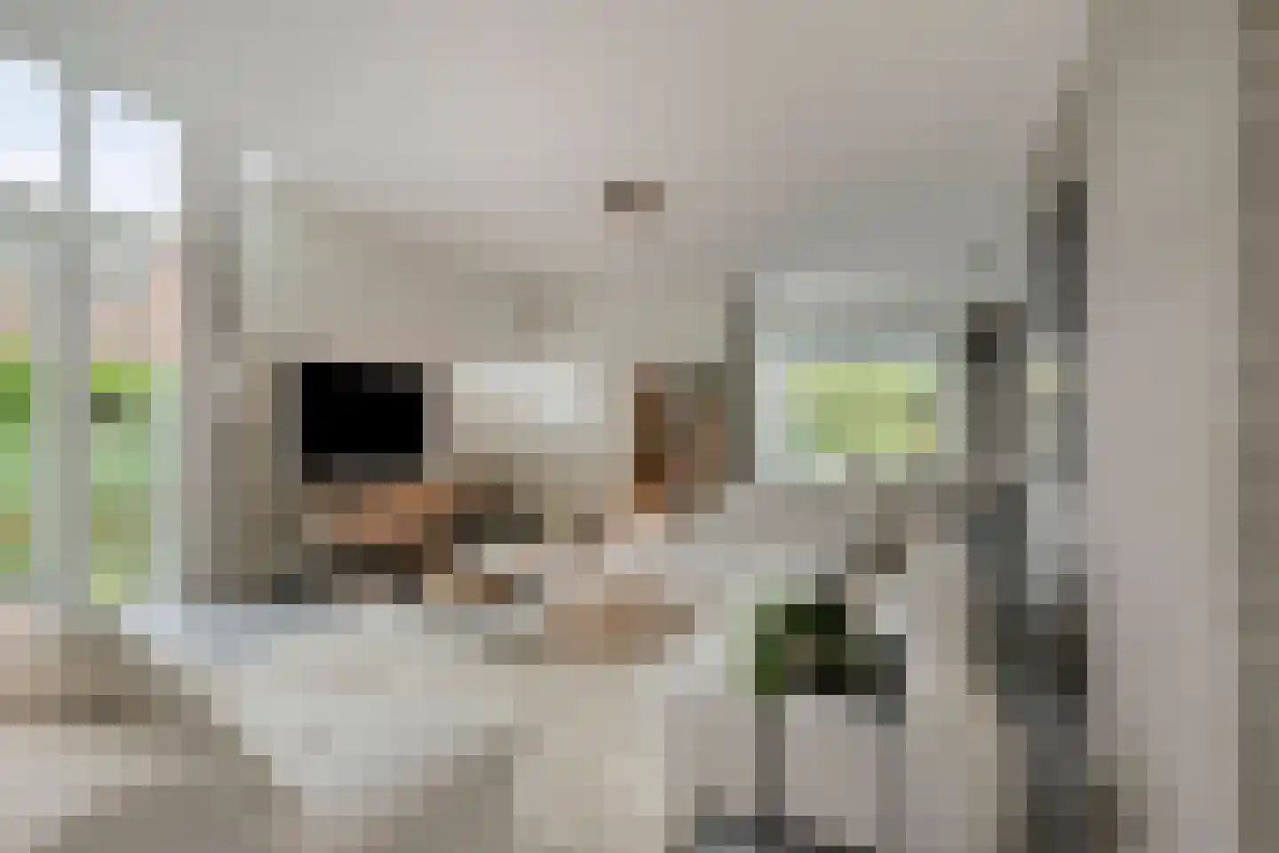 Iraklia 22 Hoofddorp thumbnail 8