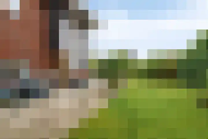 Iraklia 23 Hoofddorp thumbnail 28