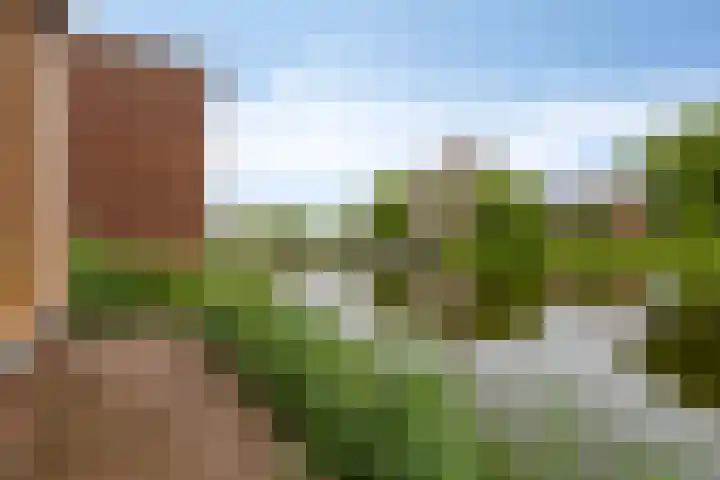 Iraklia 23 Hoofddorp thumbnail 30