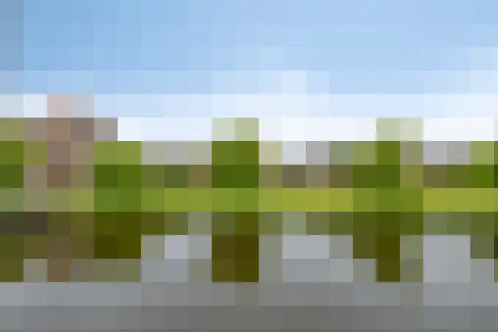Iraklia 23 Hoofddorp thumbnail 33