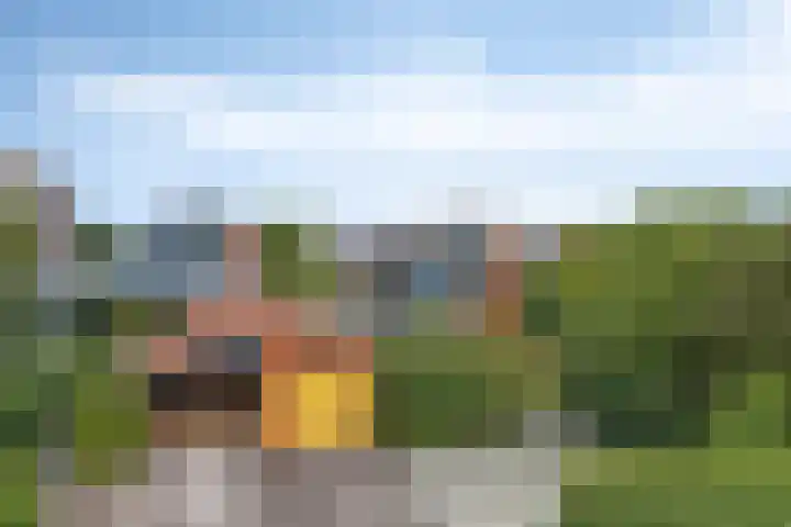 Iraklia 23 Hoofddorp thumbnail 36