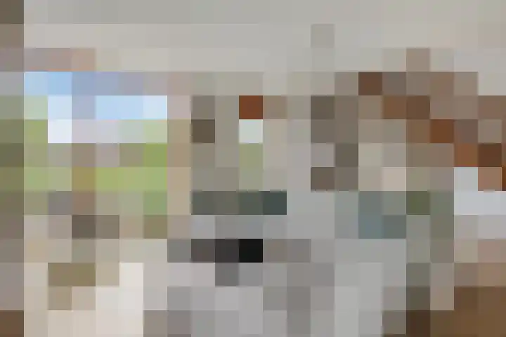 Iraklia 23 Hoofddorp thumbnail 6
