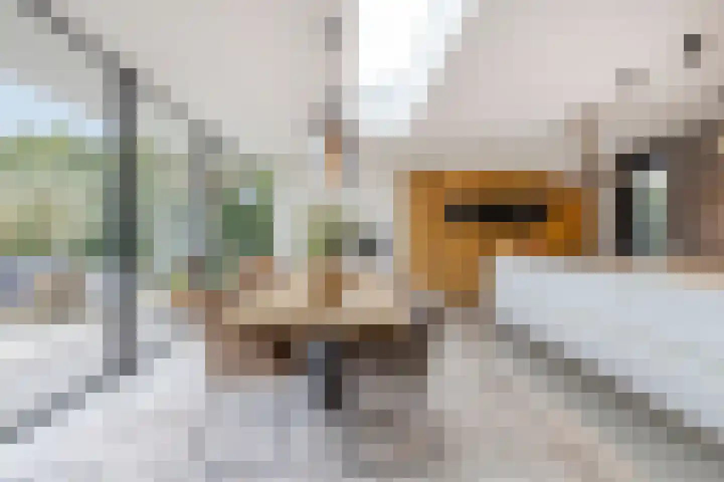 Iraklia 25 Hoofddorp thumbnail 12