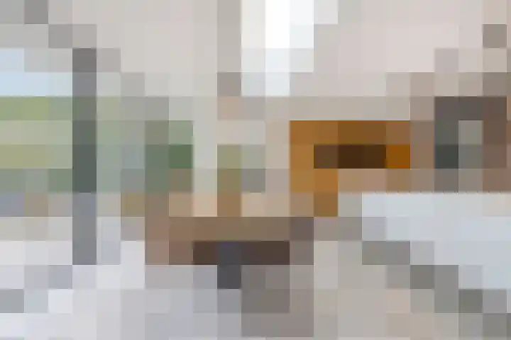 Iraklia 25 Hoofddorp thumbnail 12