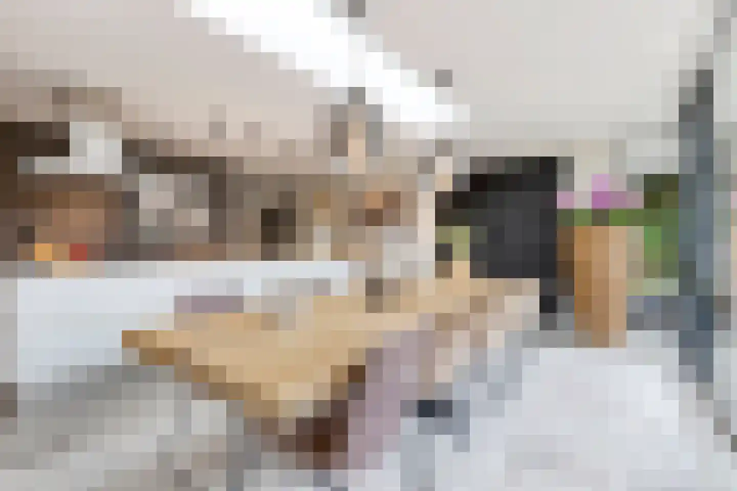 Iraklia 25 Hoofddorp thumbnail 13