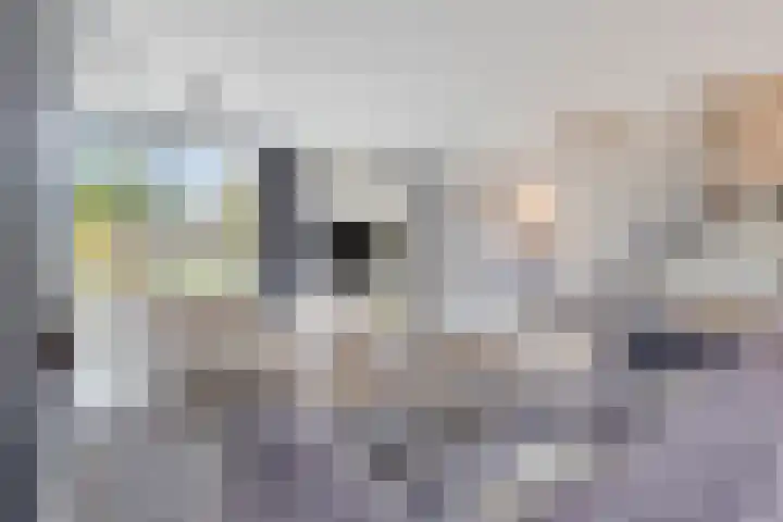 Iraklia 25 Hoofddorp thumbnail 25