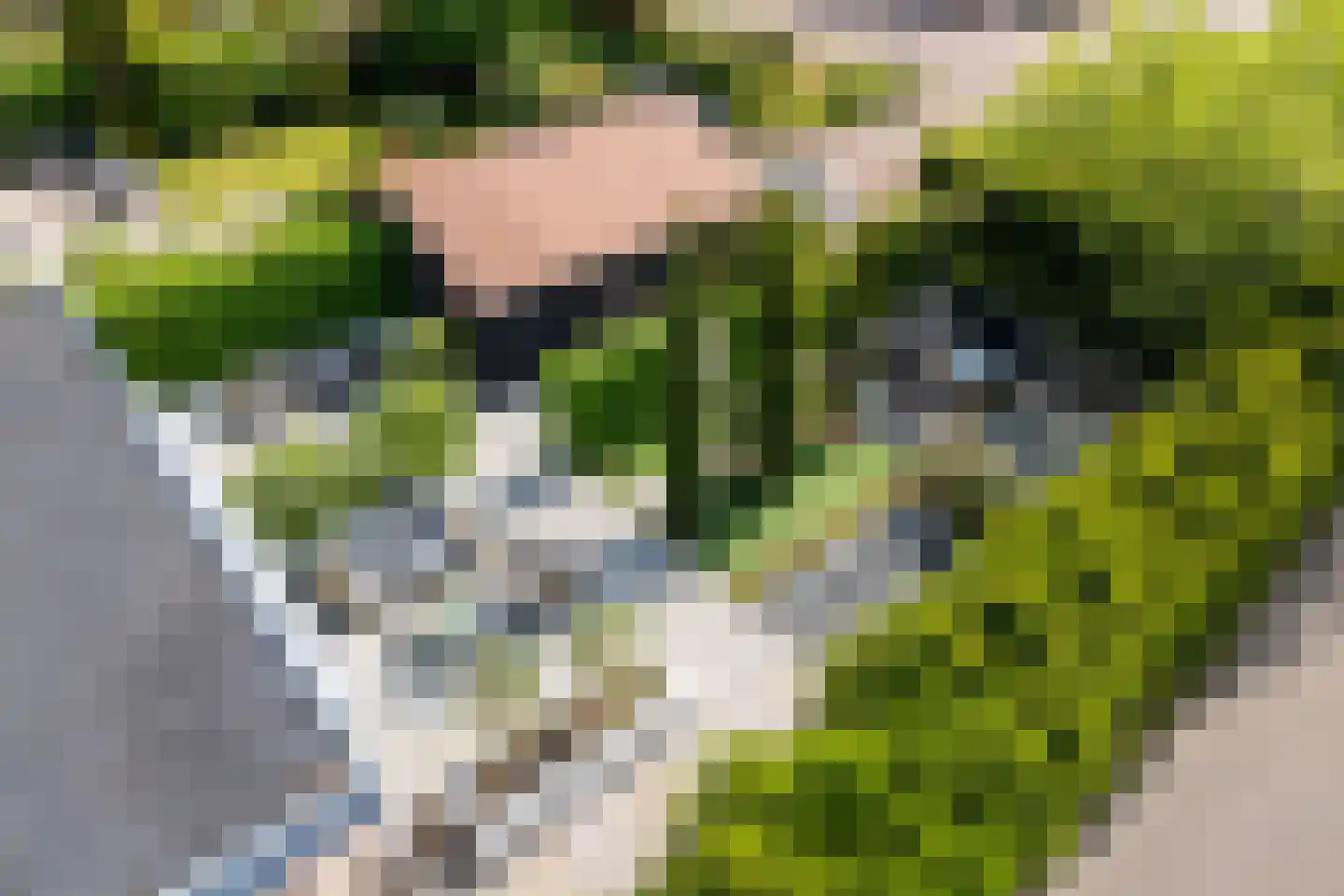 Iraklia 25 Hoofddorp thumbnail 51