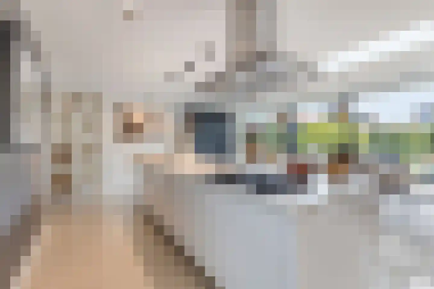 Iraklia 25 Hoofddorp thumbnail 6