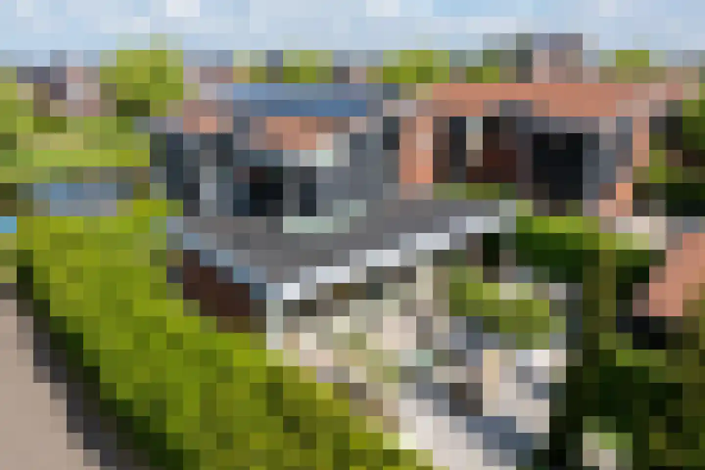 Iraklia 25 Hoofddorp thumbnail 63
