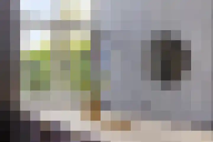 Iraklia 3 Hoofddorp thumbnail 12