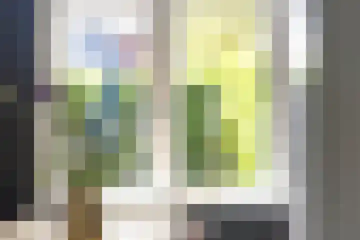 Iraklia 3 Hoofddorp thumbnail 14