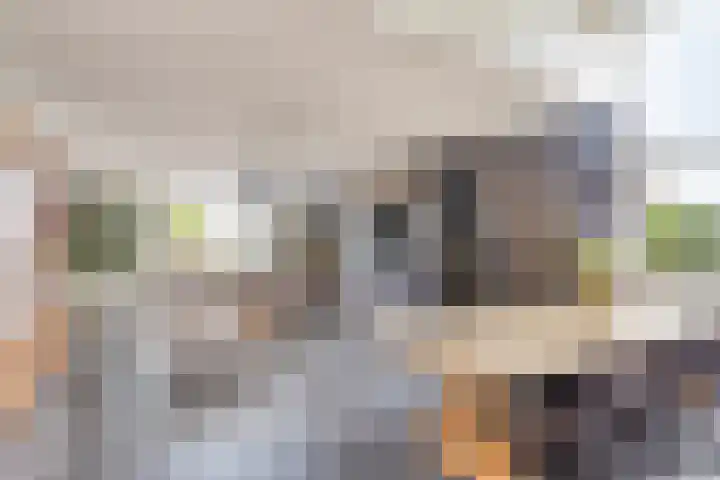 Iraklia 3 Hoofddorp thumbnail 15