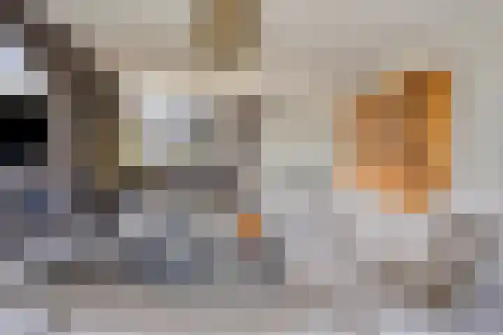 Iraklia 3 Hoofddorp thumbnail 17