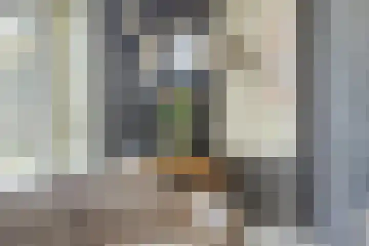 Iraklia 3 Hoofddorp thumbnail 22