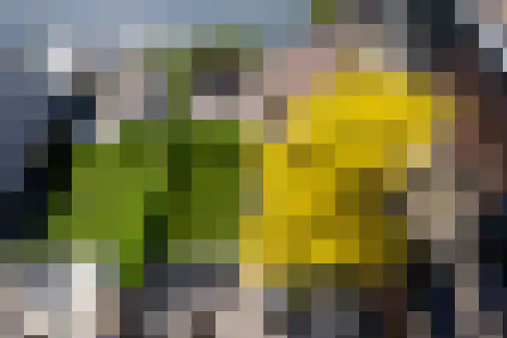 Iraklia 3 Hoofddorp thumbnail 23