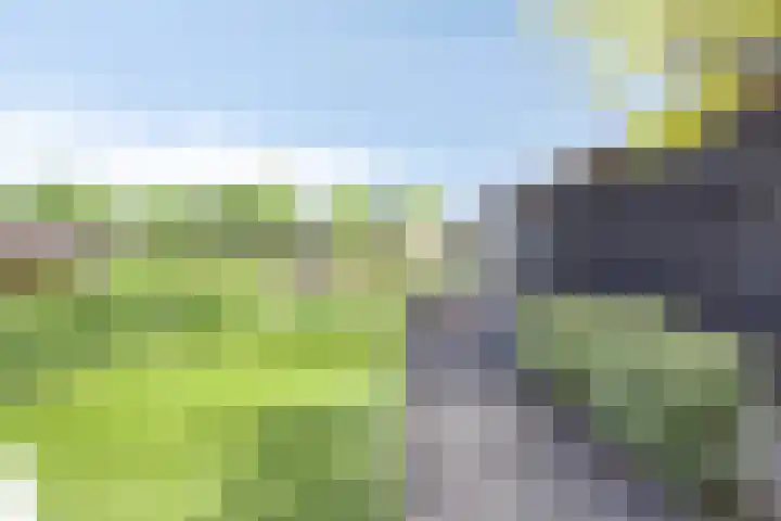 Iraklia 3 Hoofddorp thumbnail 25